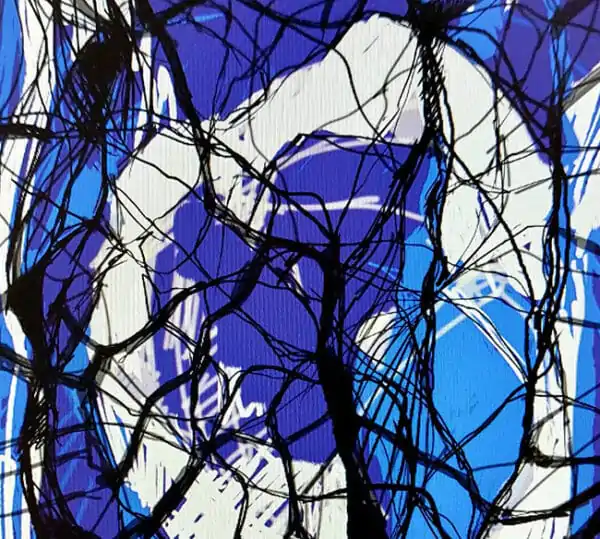 Fabric Cosmic Net II